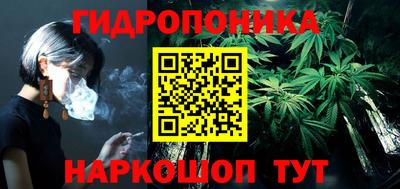 шишки Чебаркуль