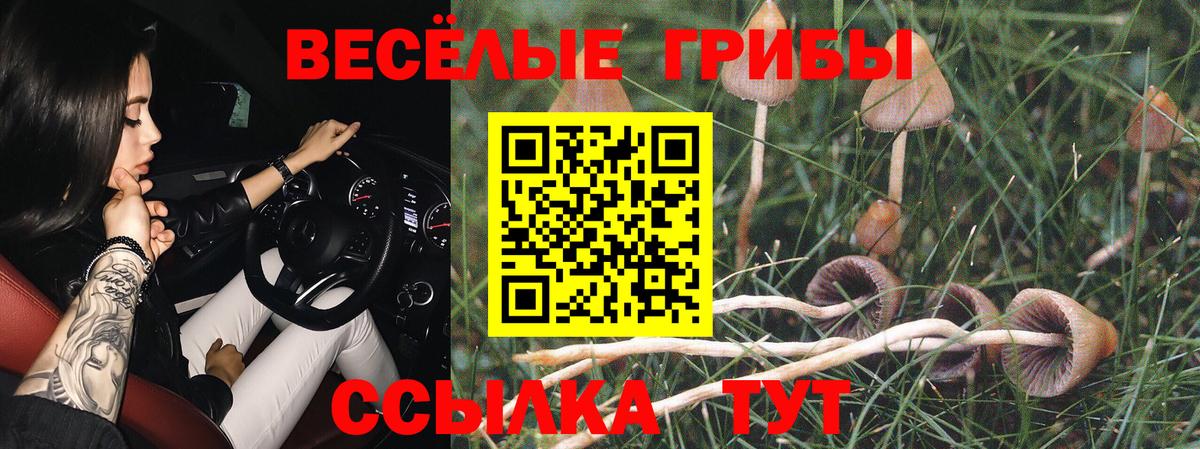 Галлюциногенные грибы Cubensis  Вход с VPN  Котовск 